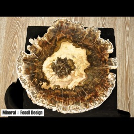 Fetta di Legno Fossile