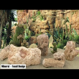 Radici di Legno Fossile