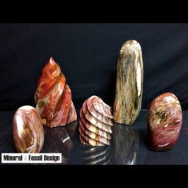 Piccole Sculture in legno fossile