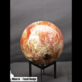 Sfera in Legno Fossile