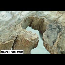 irregolarità naturale del tronco che ne fanno un pezzo molto particolare